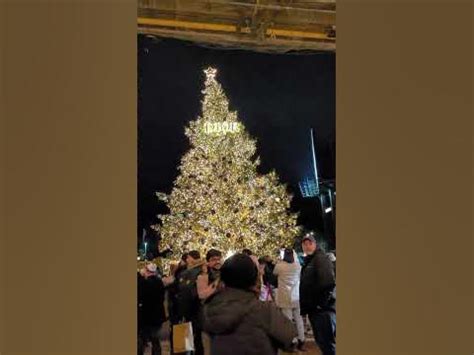 toronto christmas market dior tree|Christian Dior Parfums Holiday Tree Lights Up The 2024.